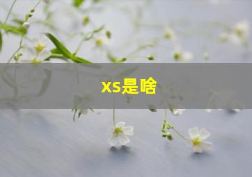 xs是啥