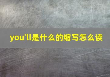 you'll是什么的缩写怎么读