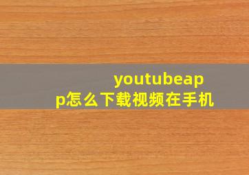 youtubeapp怎么下载视频在手机