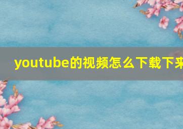 youtube的视频怎么下载下来