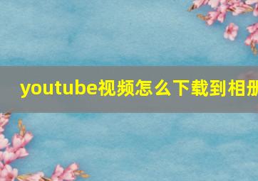 youtube视频怎么下载到相册