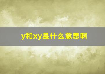 y和xy是什么意思啊