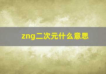 zng二次元什么意思