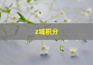 z域积分