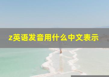 z英语发音用什么中文表示