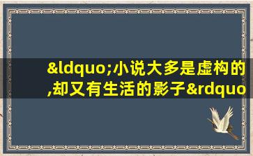 “小说大多是虚构的,却又有生活的影子”