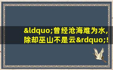 “曾经沧海难为水,除却巫山不是云”!