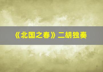 《北国之春》二胡独奏