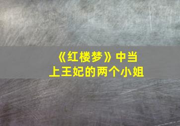 《红楼梦》中当上王妃的两个小姐