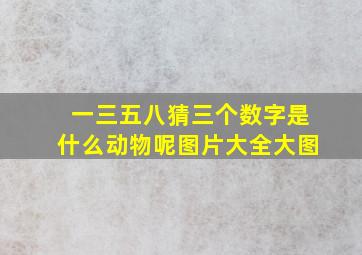 一三五八猜三个数字是什么动物呢图片大全大图