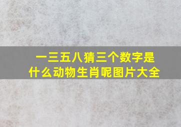 一三五八猜三个数字是什么动物生肖呢图片大全