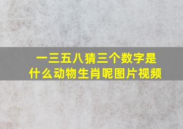 一三五八猜三个数字是什么动物生肖呢图片视频