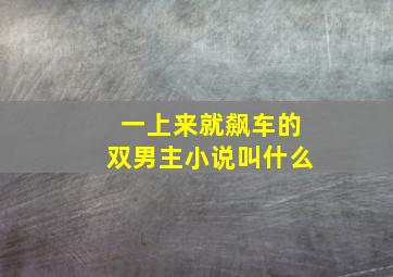 一上来就飙车的双男主小说叫什么