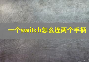 一个switch怎么连两个手柄