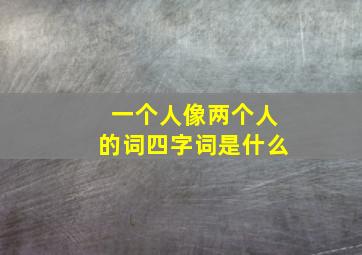 一个人像两个人的词四字词是什么