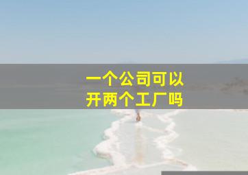 一个公司可以开两个工厂吗