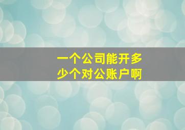 一个公司能开多少个对公账户啊