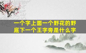 一个字上面一个野花的野底下一个王字旁是什么字