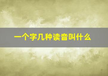 一个字几种读音叫什么