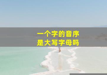 一个字的音序是大写字母吗