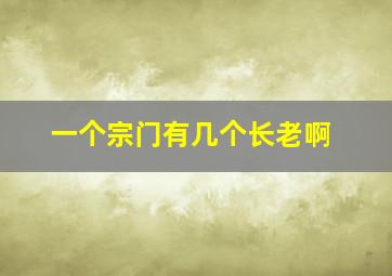 一个宗门有几个长老啊