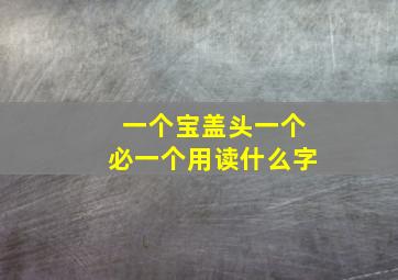 一个宝盖头一个必一个用读什么字