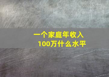 一个家庭年收入100万什么水平