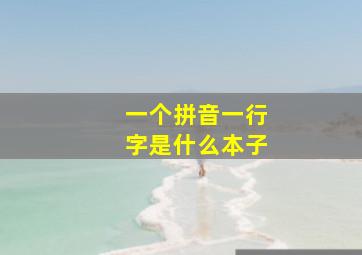 一个拼音一行字是什么本子