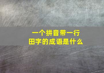 一个拼音带一行田字的成语是什么