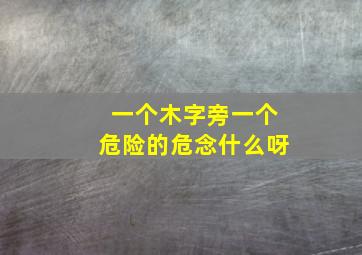 一个木字旁一个危险的危念什么呀