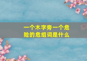 一个木字旁一个危险的危组词是什么