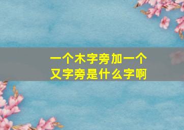 一个木字旁加一个又字旁是什么字啊