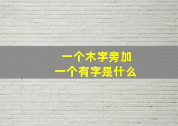 一个木字旁加一个有字是什么