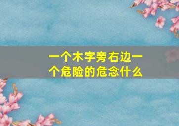 一个木字旁右边一个危险的危念什么