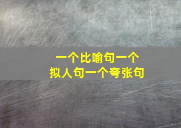 一个比喻句一个拟人句一个夸张句