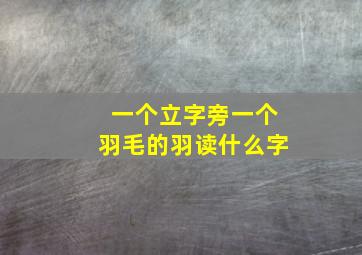 一个立字旁一个羽毛的羽读什么字