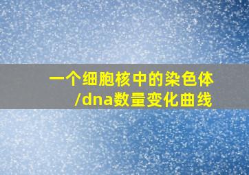 一个细胞核中的染色体/dna数量变化曲线