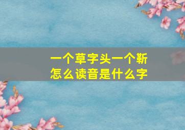 一个草字头一个靳怎么读音是什么字