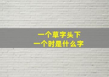 一个草字头下一个时是什么字