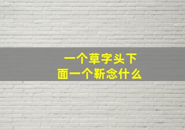 一个草字头下面一个靳念什么