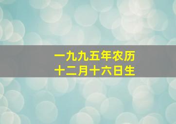 一九九五年农历十二月十六日生