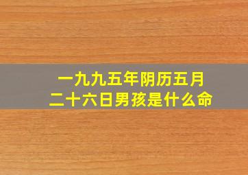 一九九五年阴历五月二十六日男孩是什么命