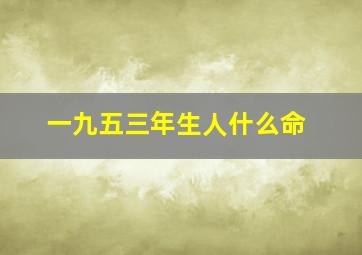 一九五三年生人什么命