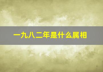 一九八二年是什么属相