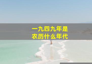 一九四九年是农历什么年代