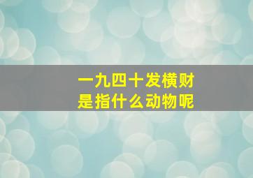 一九四十发横财是指什么动物呢