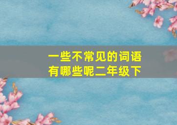 一些不常见的词语有哪些呢二年级下