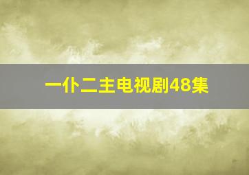 一仆二主电视剧48集