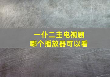 一仆二主电视剧哪个播放器可以看