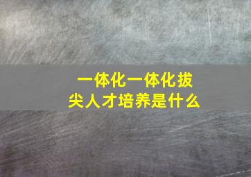 一体化一体化拔尖人才培养是什么